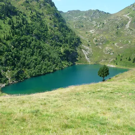 Le Sapin Fleuri Bourg-dʼOueil