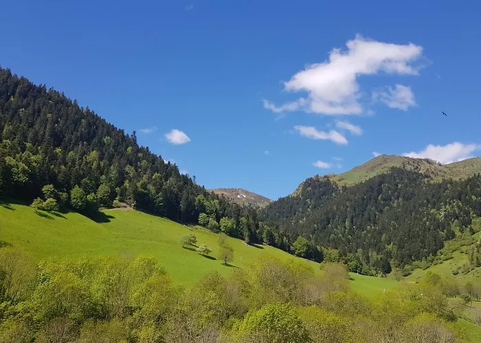 - Restaurant - Bar - Le Sapin Fleuri 3*