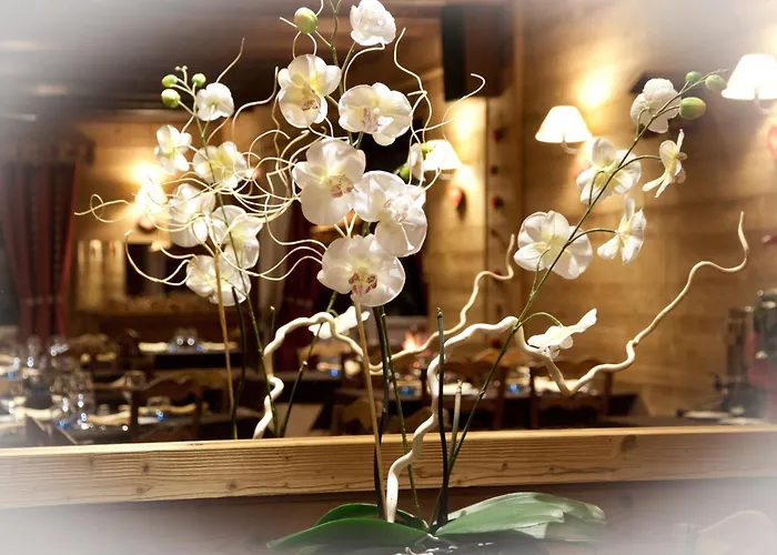 酒店 - Restaurant - Bar - Le Sapin Fleuri