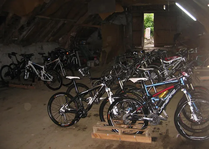 酒店 - Restaurant - Bar - Le Sapin Fleuri Bourg-dʼOueil