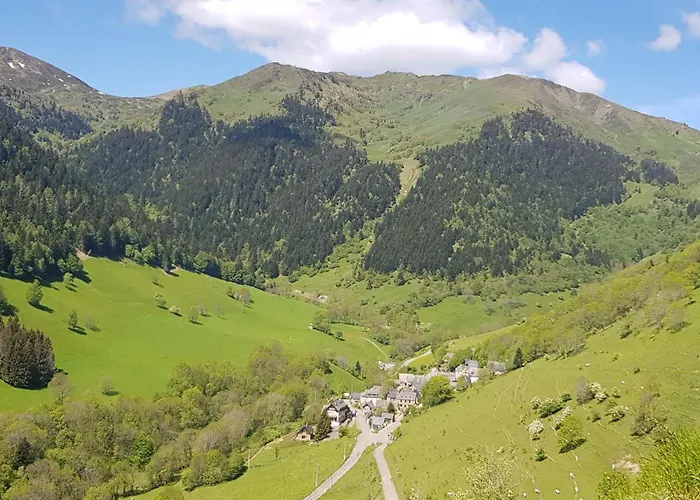 - Restaurant - Bar - Le Sapin Fleuri Bourg-dʼOueil