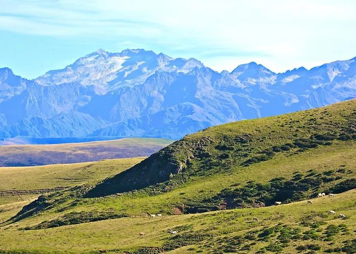 酒店 - Restaurant - Bar - Le Sapin Fleuri Bourg-dʼOueil