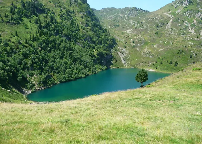 - Restaurant - Bar - Le Sapin Fleuri Bourg-dʼOueil