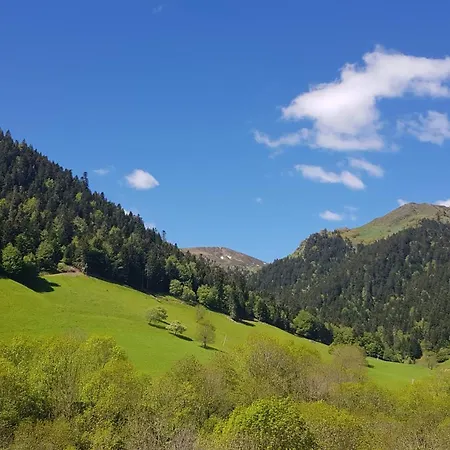 - Restaurant - Bar - Le Sapin Fleuri 3*