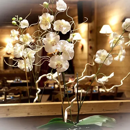 Otel - Restaurant - Bar - Le Sapin Fleuri